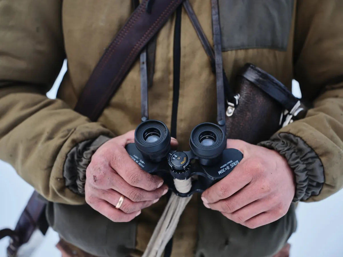 Five Common Mistakes When Identifying Birds by Plumage (and How to Avoid Them)